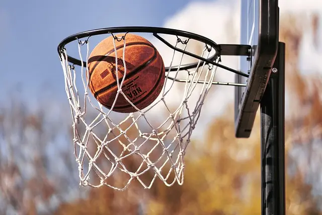 Les Légendes du Basket : L'Héritage de Michael Jordan